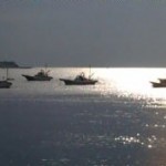 三浦半島 佐島 カワハギ釣り