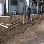 本式の生垣 作業中